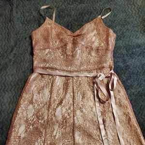 Anne Taylor Rose Gold lace dress- Size 8